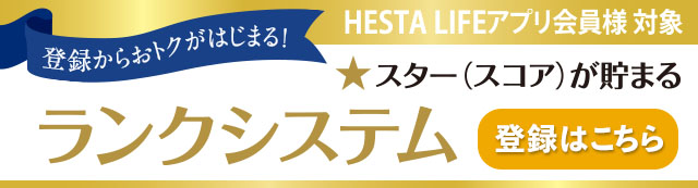 ランクシステム