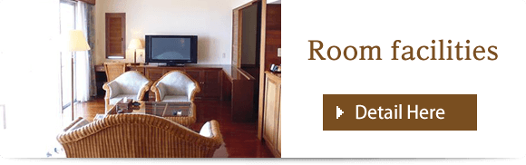 Room&nbsp;Amenities