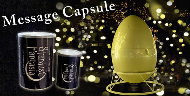 Message Capsule