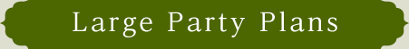 Party Plan