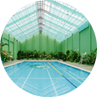 Indoor Pool (Rainforest)