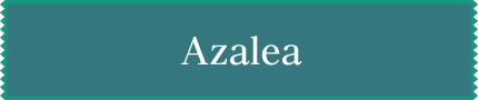 Azalea