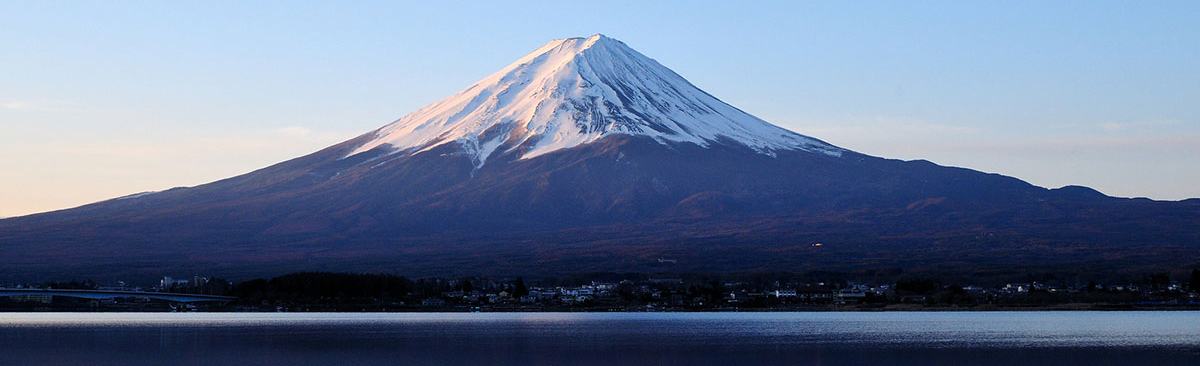 周遊バス TOUR BUS