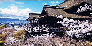 伏見稲荷大社・清水寺・金閣寺・嵐山 Day Tour