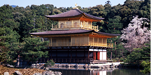 嵐山・金閣寺・奈良公園・神戸MOSAIC Full Day Tour