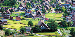 LIMONBUS TRIPホテル宿泊セットツアー