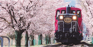 嵯峨野トロッコ列車・清水寺・伏見稲荷大社 Day Tour